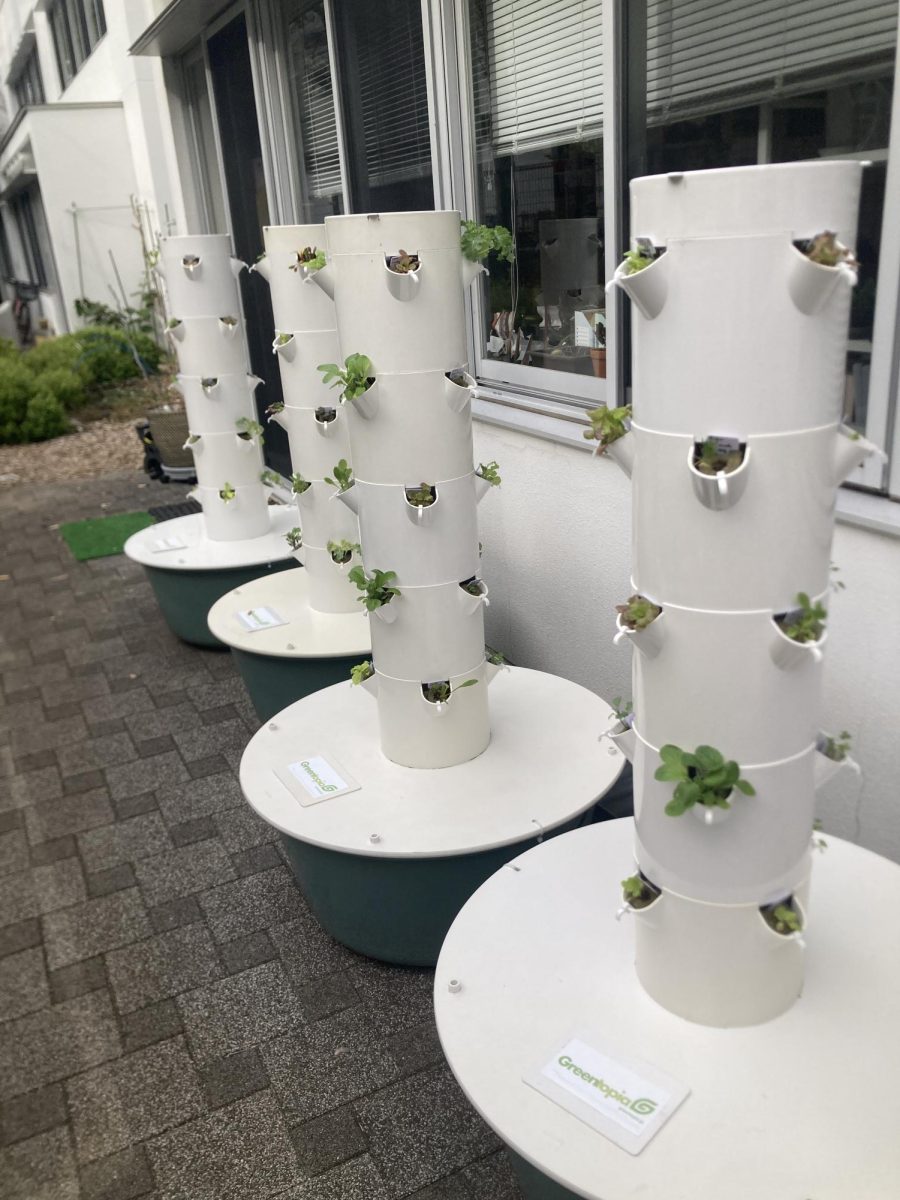 Hydroponic towers in the gardening club