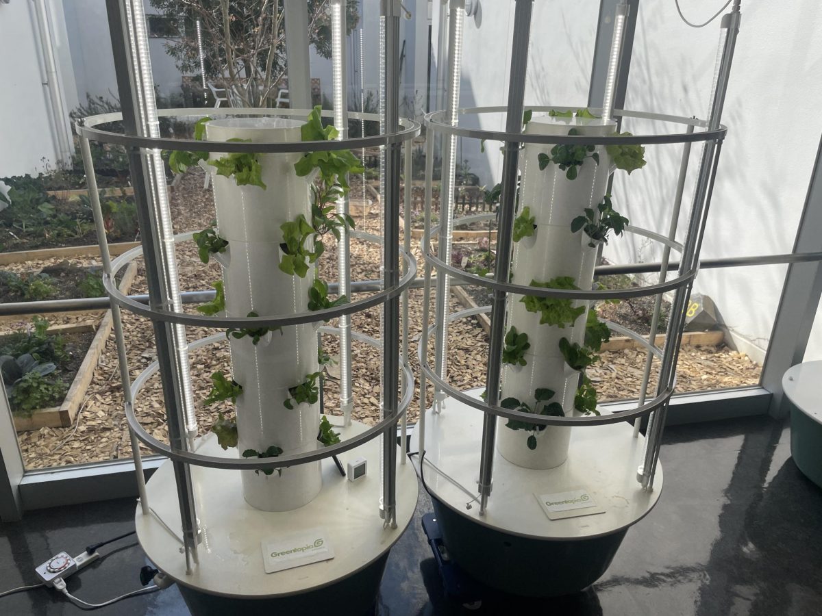 Hydroponic Garden