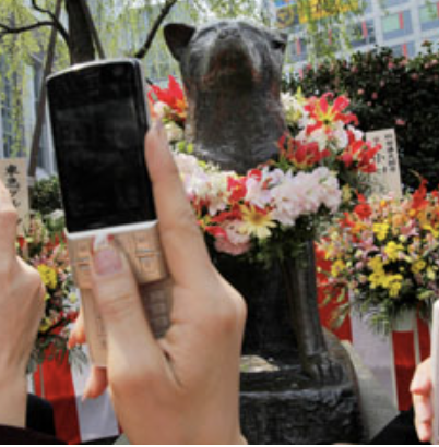 People Gathering at Hachiko's Statue at Shibuya Station(the japan times)
