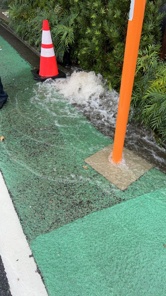 Sidewalk flooding at Anka-zaka, which is the hill close to St. Mary's.