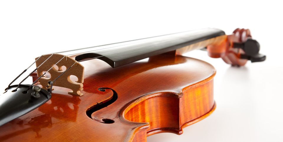 A very glossy violin.